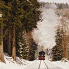 Preßnitztalbahn Ostern (01.04.) 2013