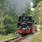 Preßnitztalbahn . Sommer