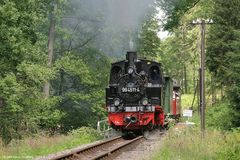 Preßnitztalbahn . Sommer