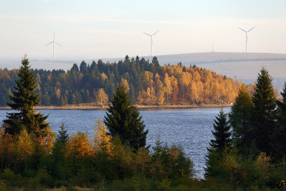 Pressnitztalsperre im Herbst