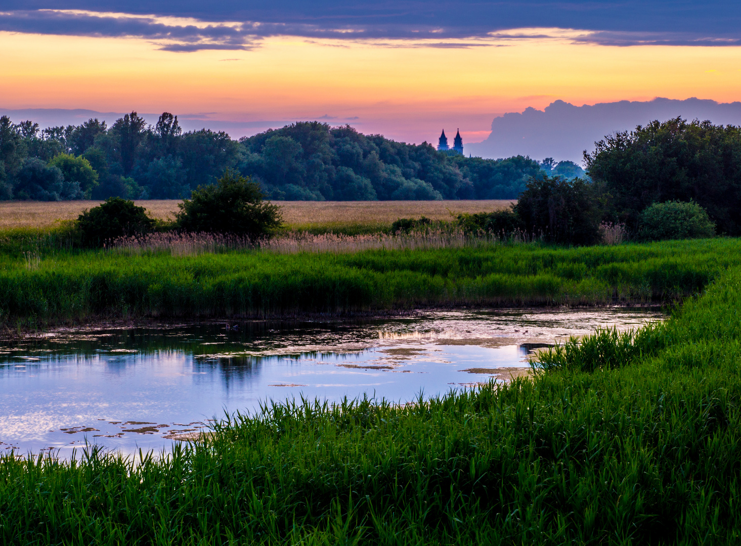 Prester See in Magdeburg