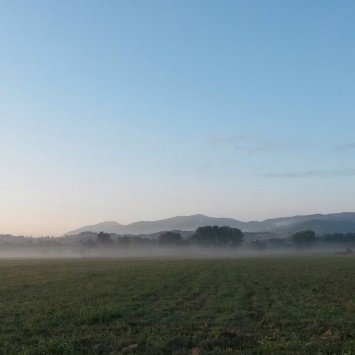 Presto, la nebbia.