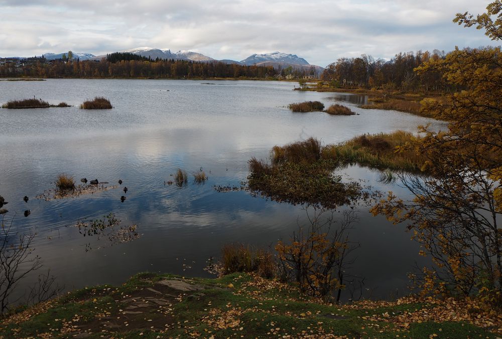 Prestvannet 2- Herbst in Tromsø