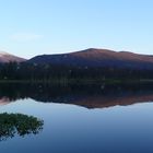 Prestvannet Reflection II