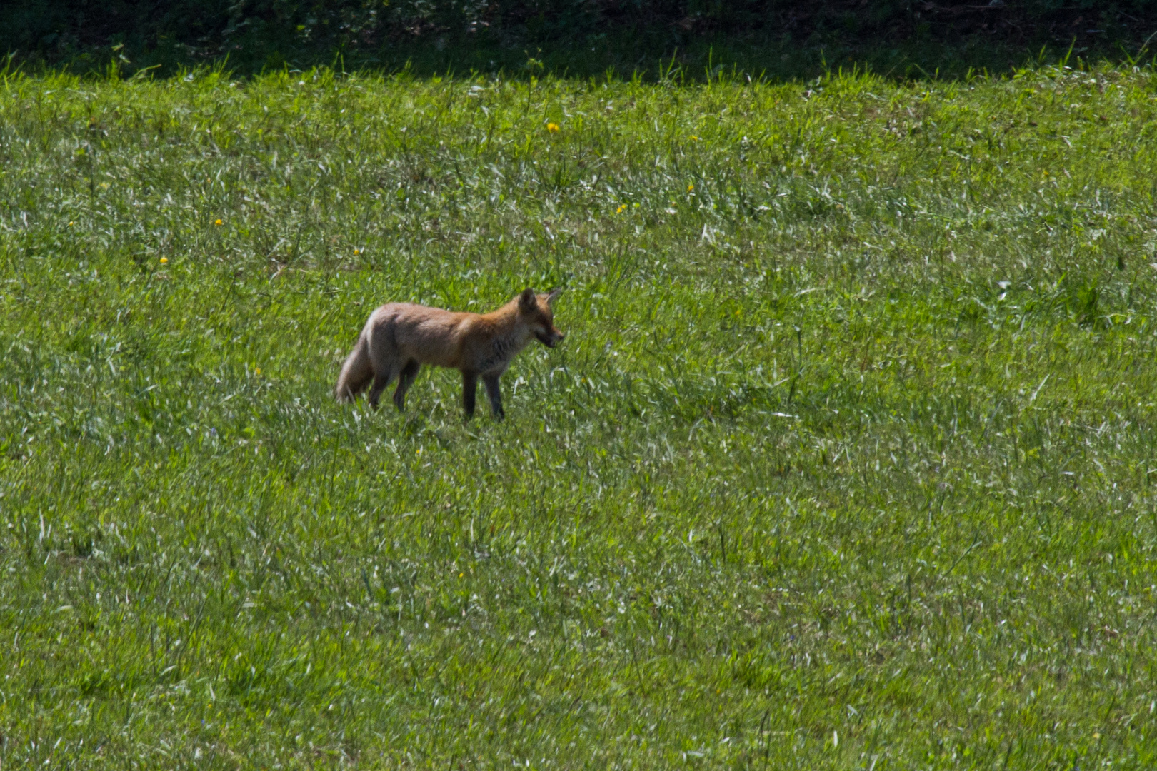 pret pour la chasse