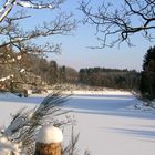 Pûreté naturelle d'un bel hiver