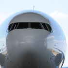 Pretty Face B777F