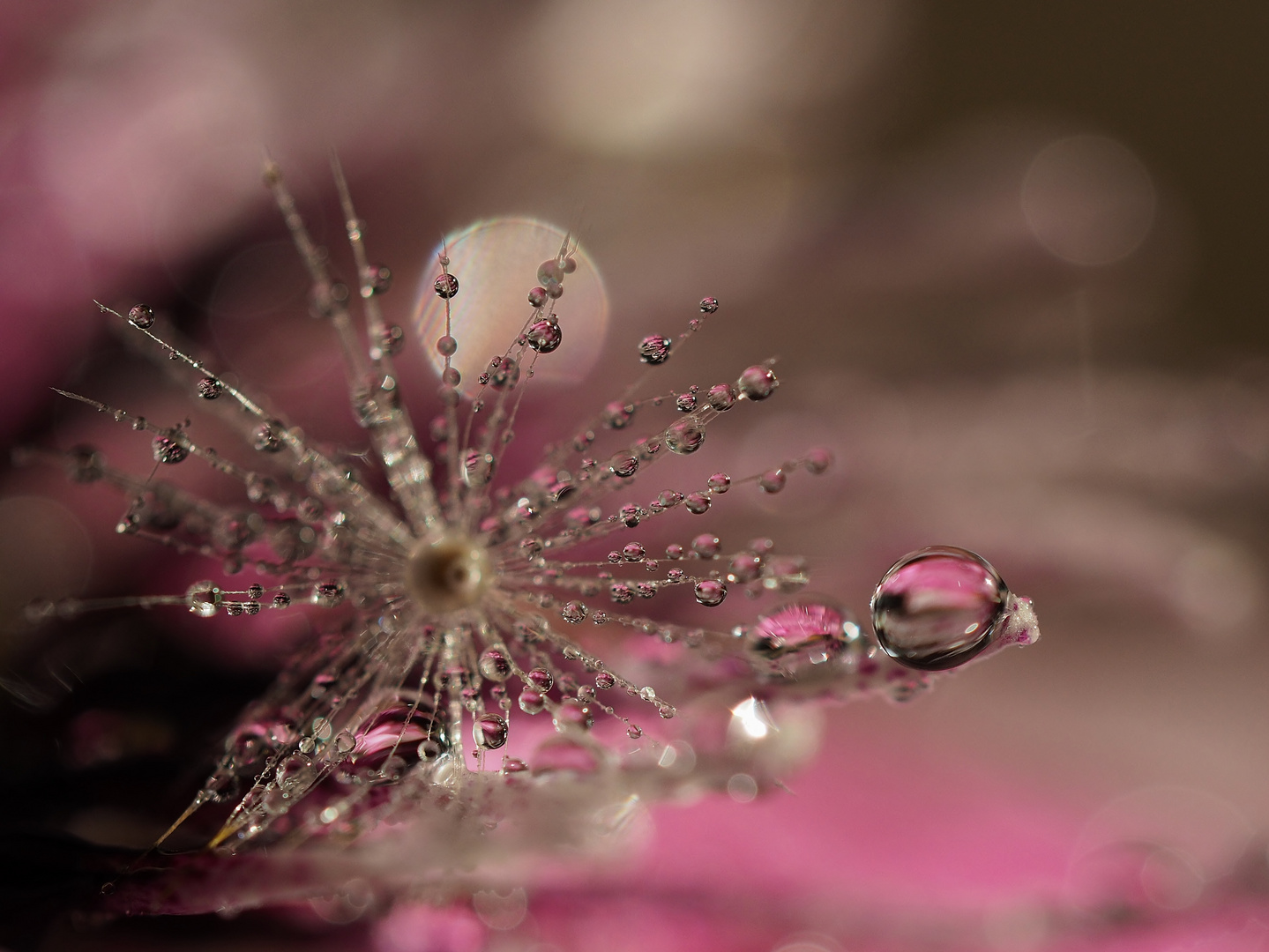 "Pretty in pink"