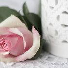 pretty in rose