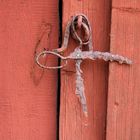 pretty rusty pair of scissors