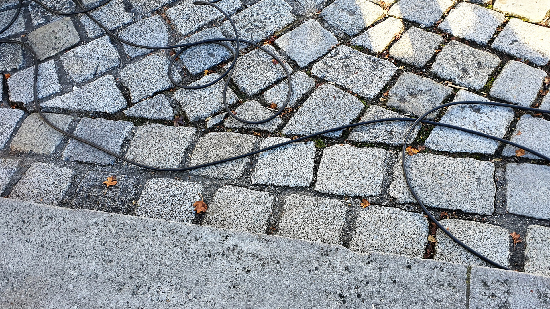 Pretzel in the street