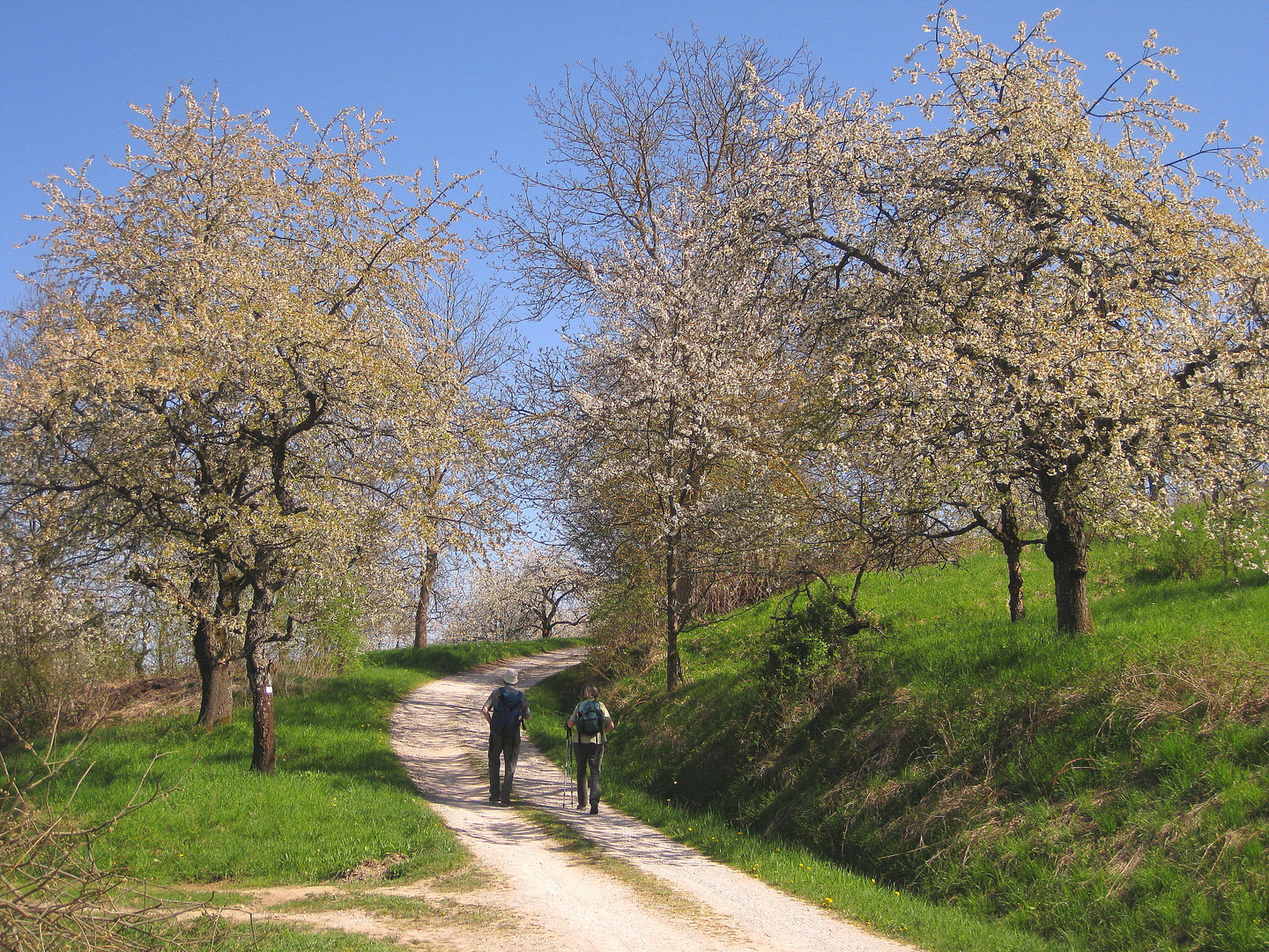 Pretzfelder Kirschenweg