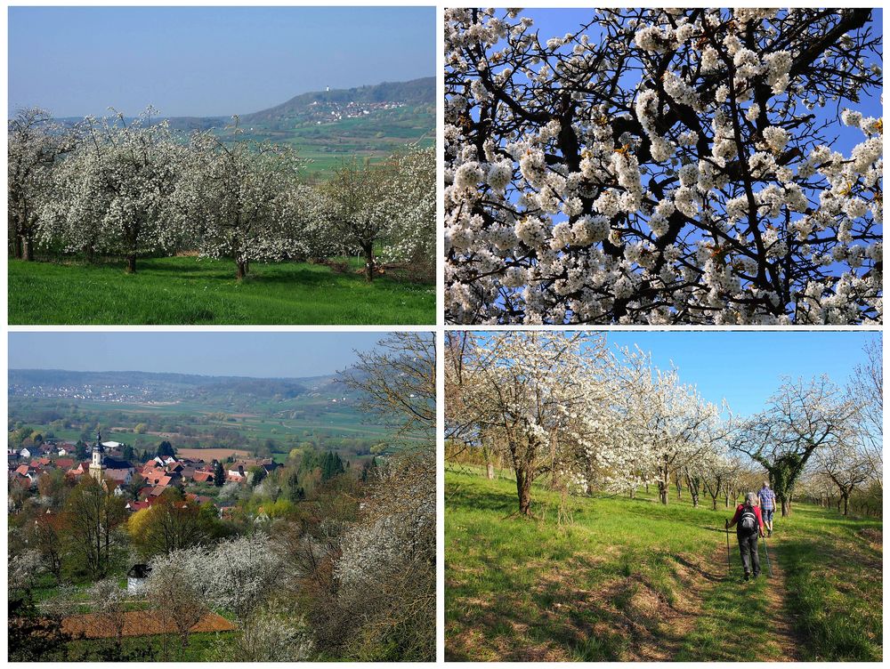 Pretzfelder Kirschwanderweg 