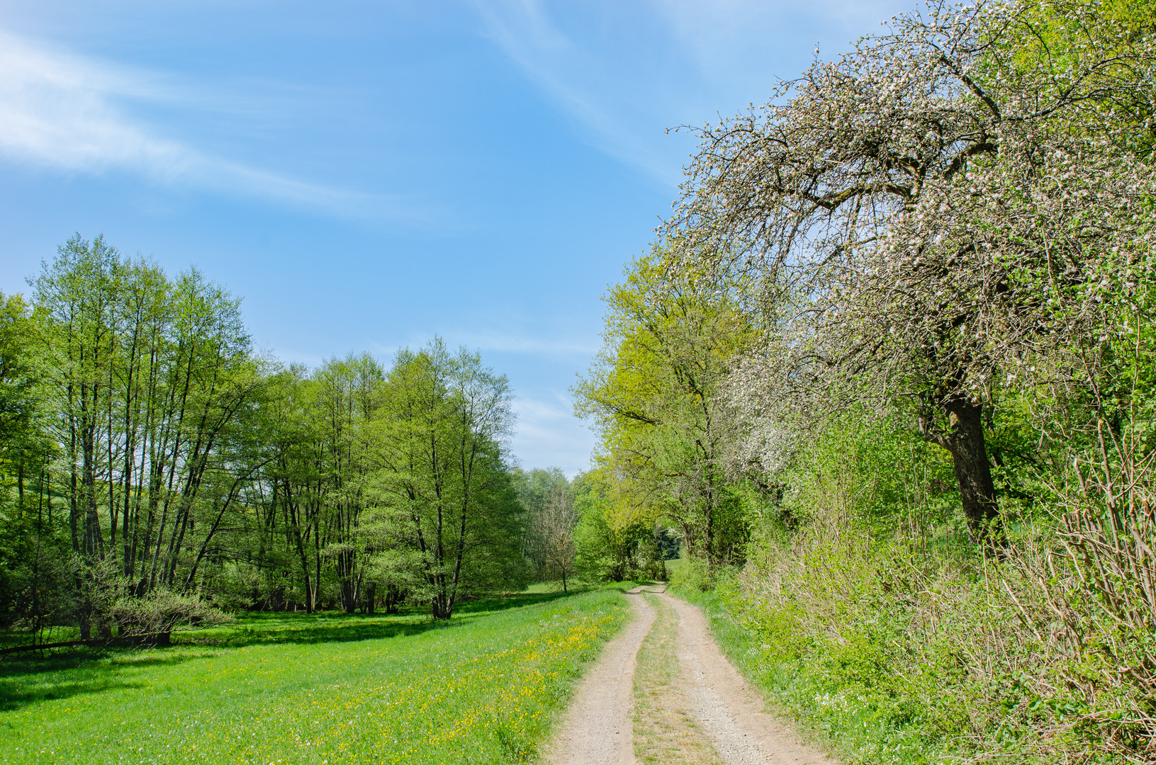 Preußensteig (Pfalz)