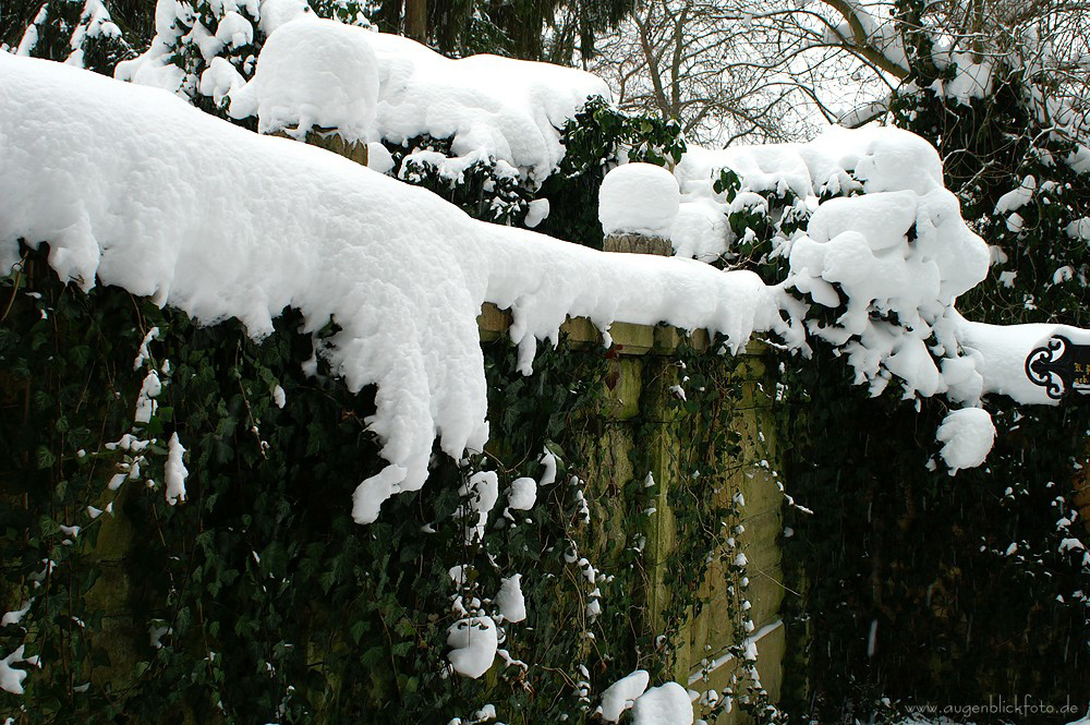 Preußisch Winter I