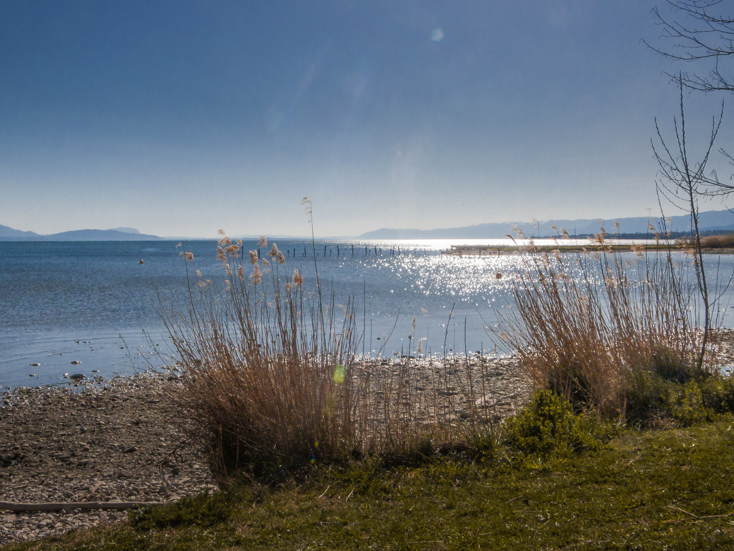 Préverenges : l,umière d'été sur le lac Léman