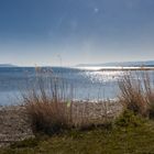 Préverenges : l,umière d'été sur le lac Léman