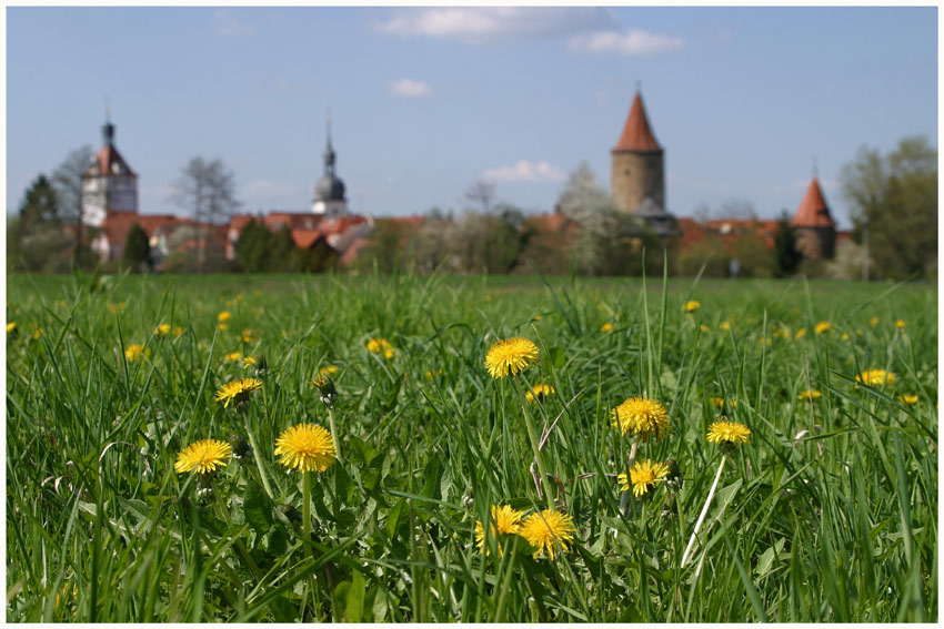 Prichsenstädter Frühlingsimpression