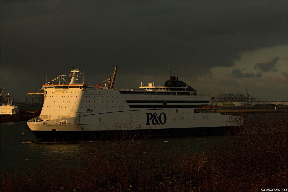 PRIDE OF ROTTERDAM / Ferry / Rotterdam