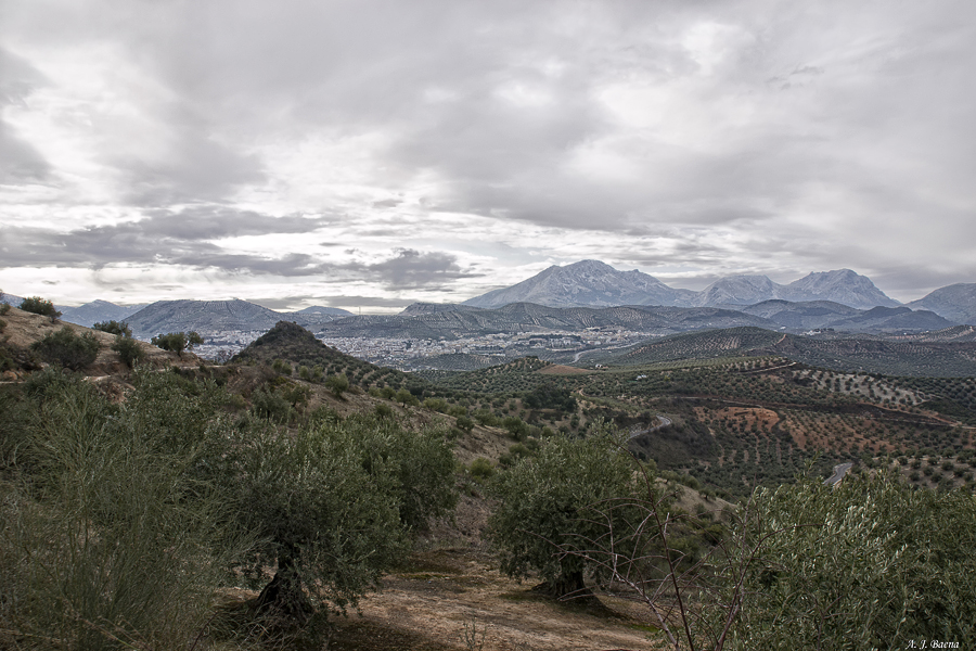 Priego de Córdoba