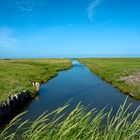 Priel / Hallig Hooge