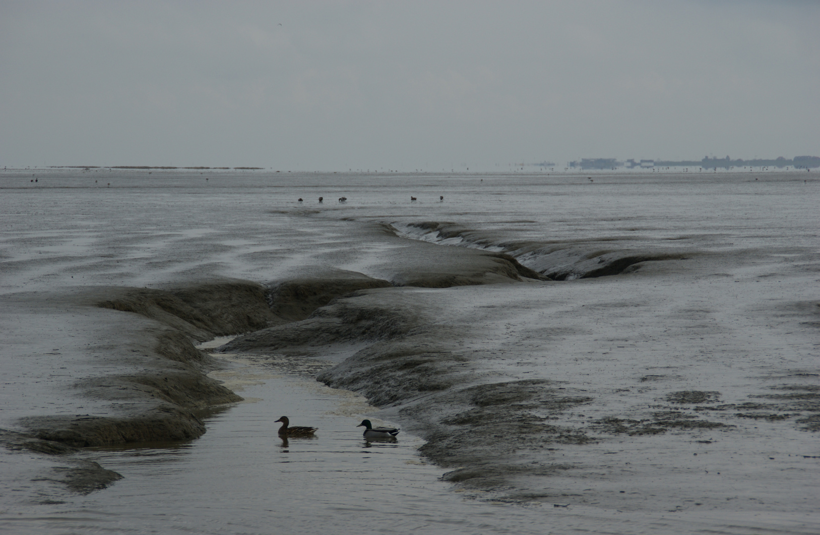 Priel im Wattenmeer