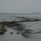 Priel im Wattenmeer