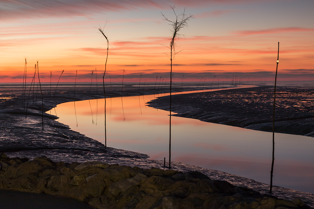 Priel im Wattenmeer