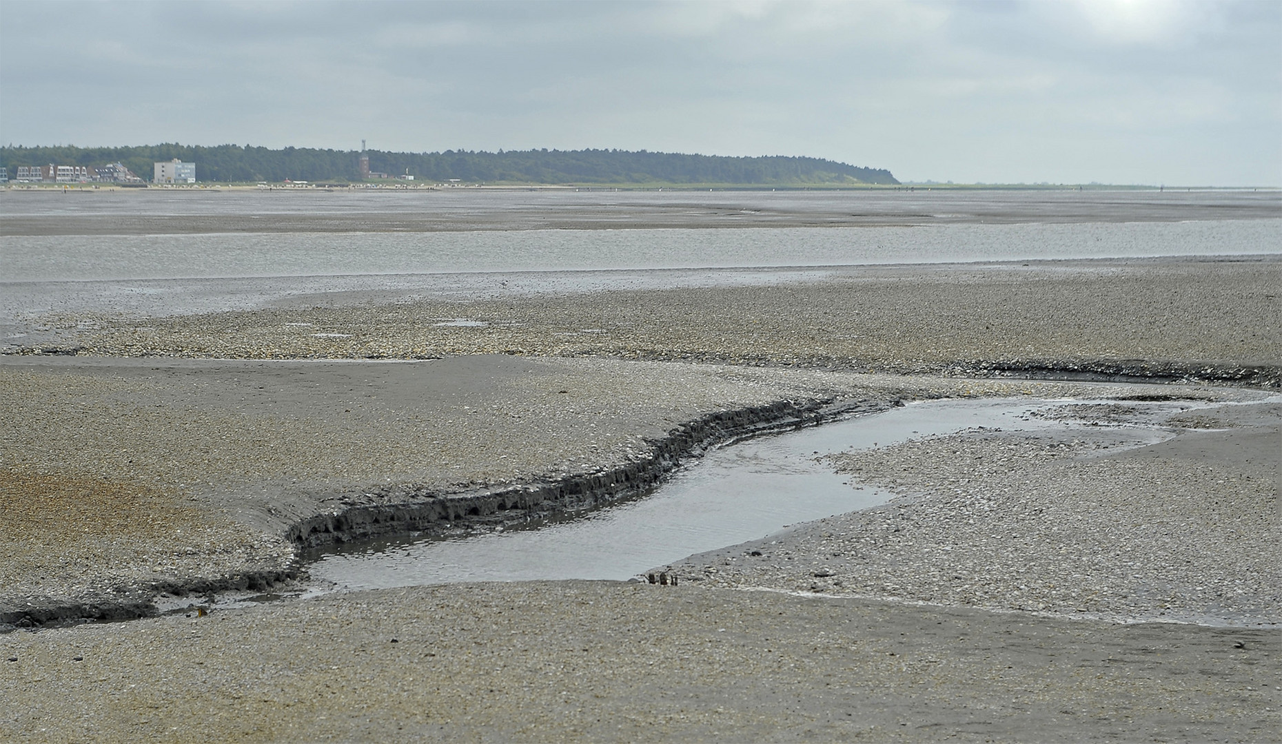 Priel und Muschelbank im Watt zwischen der Insel Neuwerk und Cuxhaven-Sahlenburg (links am Horizont)