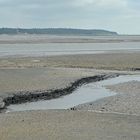 Priel und Muschelbank im Watt zwischen der Insel Neuwerk und Cuxhaven-Sahlenburg (links am Horizont)