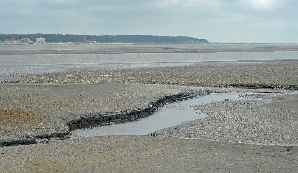 Priel und Muschelbank im Watt zwischen der Insel Neuwerk und Cuxhaven-Sahlenburg (links am Horizont)