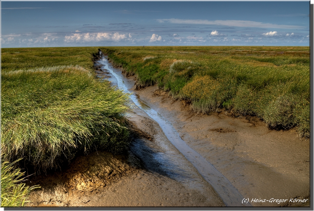 Priel und Salzwiesen HDR