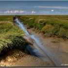 Priel und Salzwiesen HDR