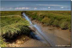 Priel und Salzwiesen HDR