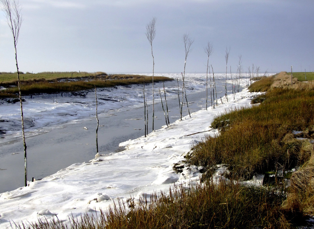 Priel vor Spieka