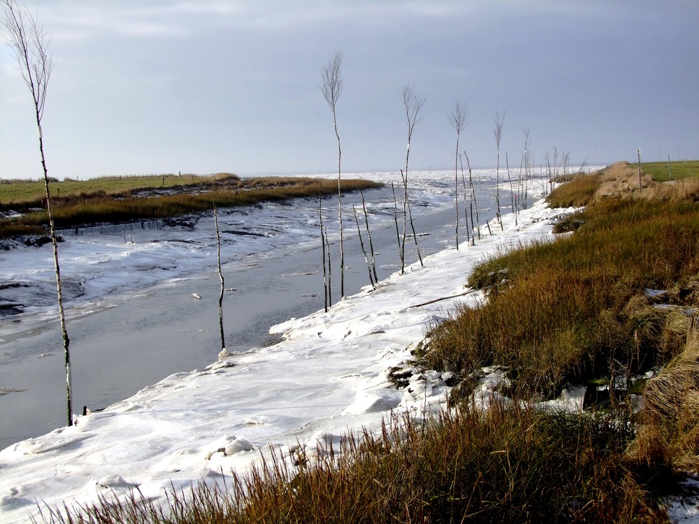 Priel vor Spieka-Neufeld