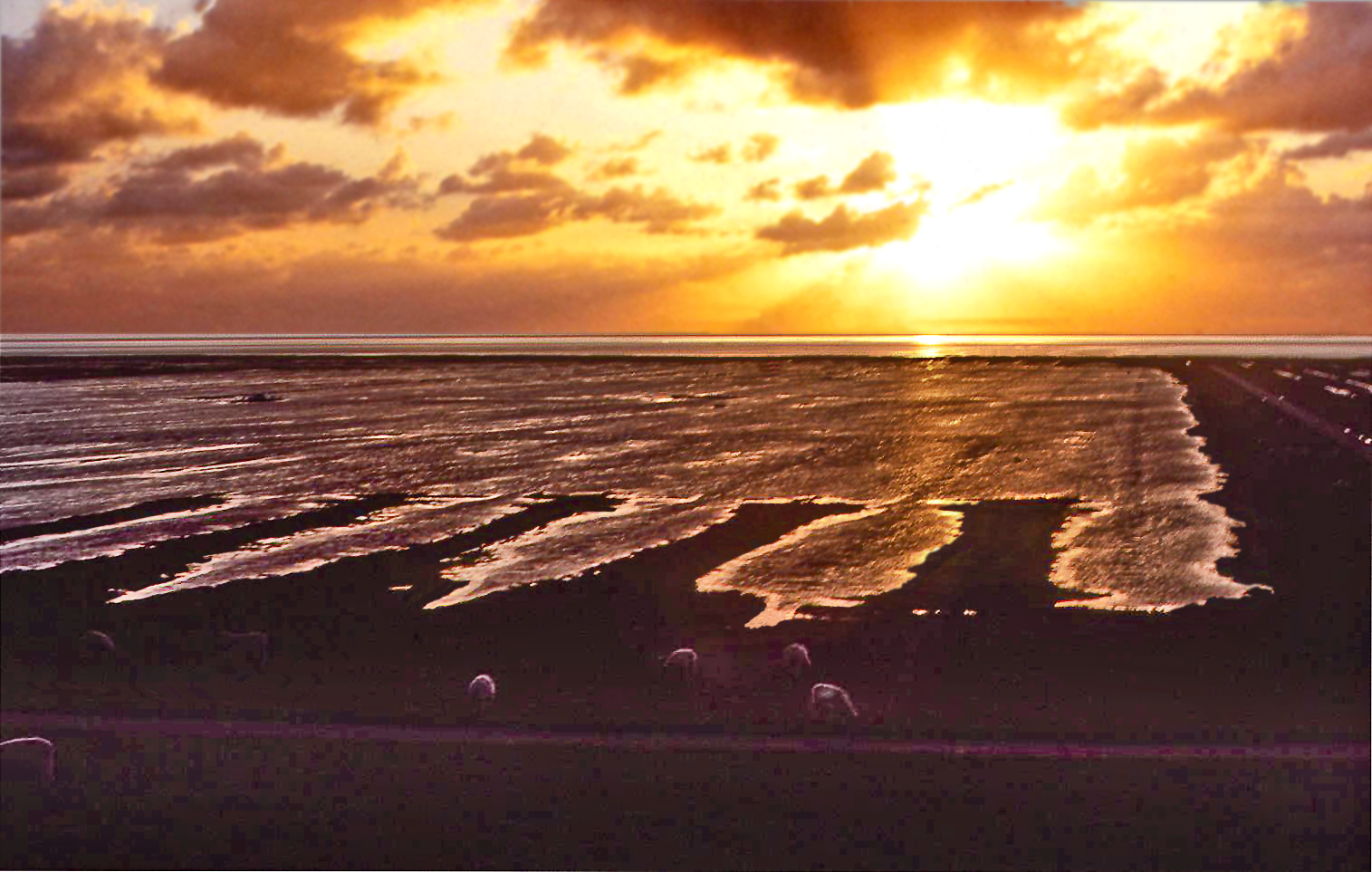 Priele vor Westerhever am Deich