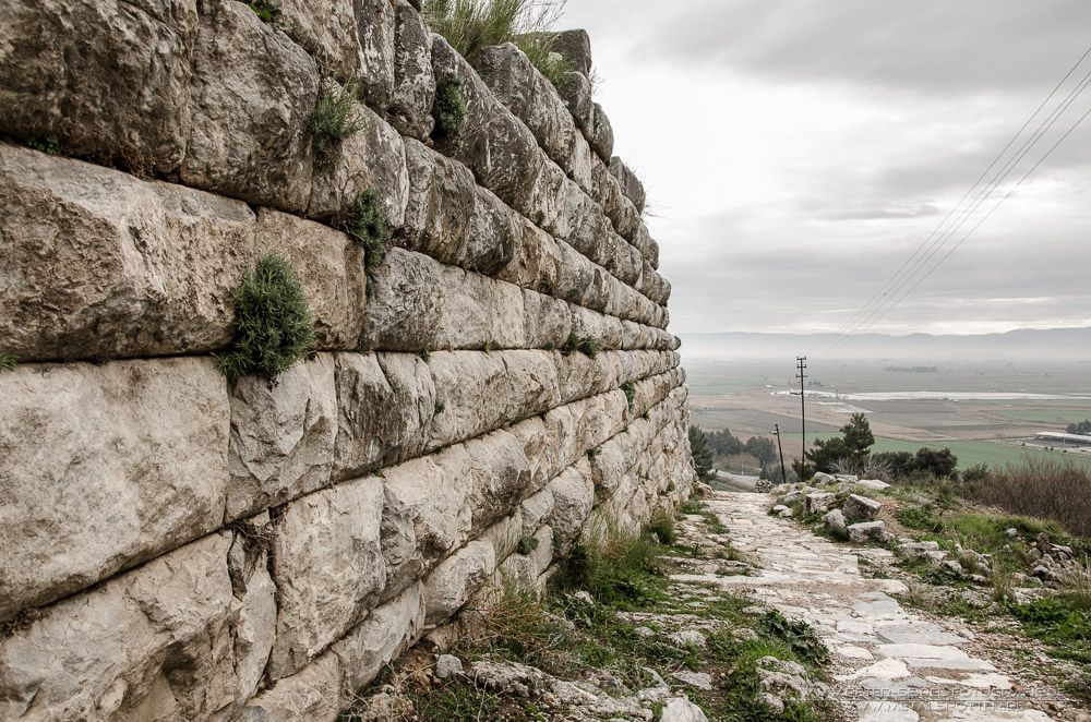 Priene