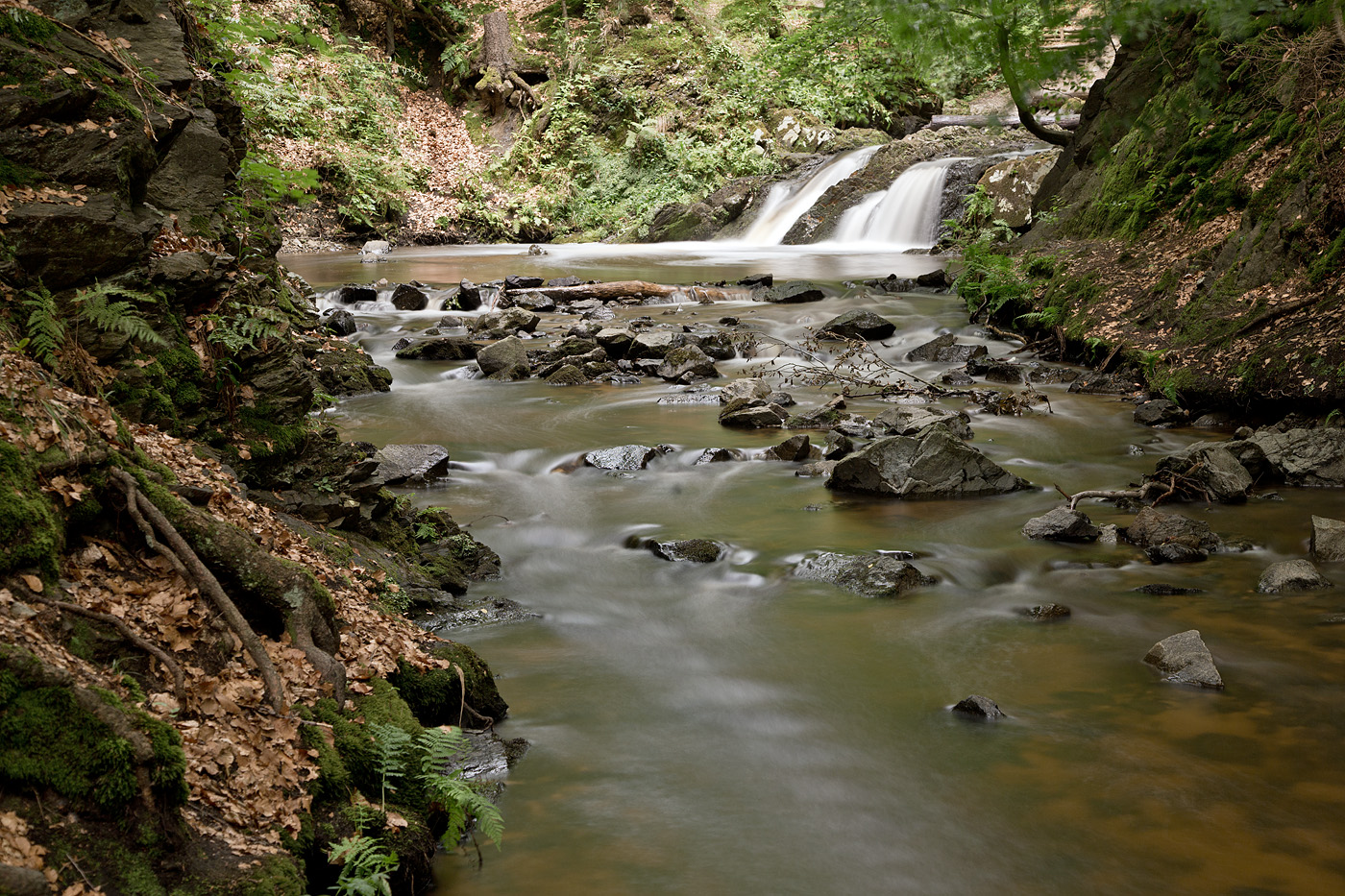 Prießnitzgrund, Dresdner Heide