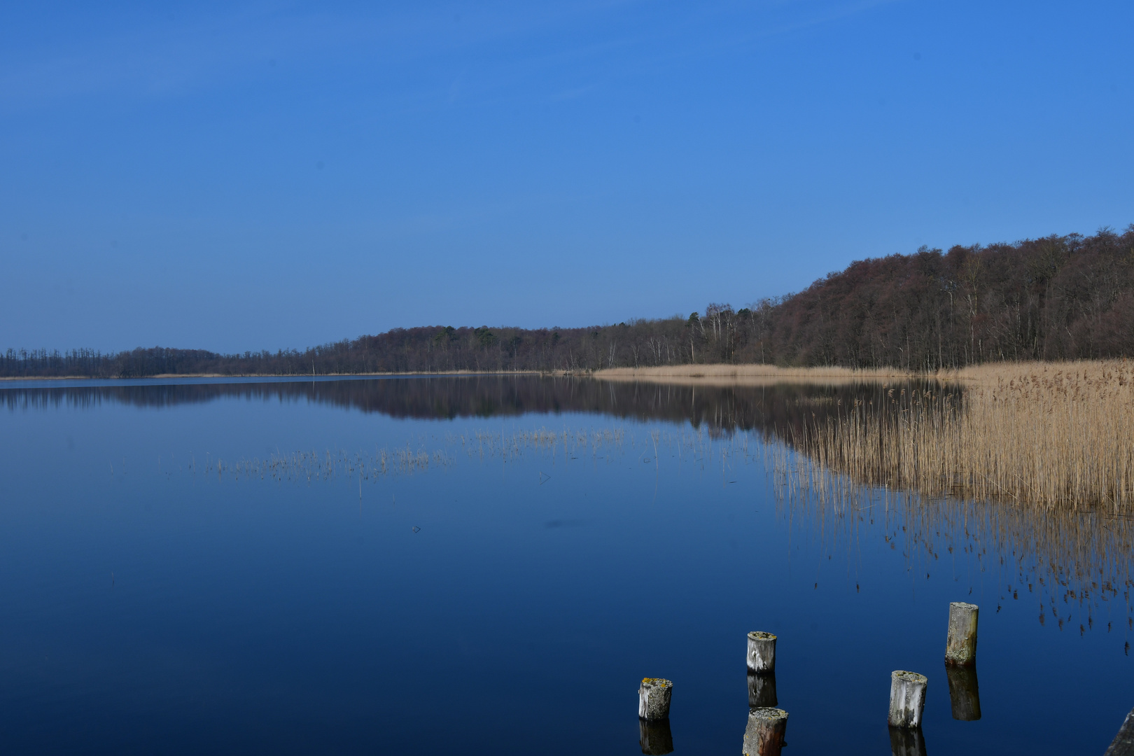 Priesterbäker See