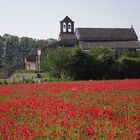 Prieuré de Salagon, hier .......