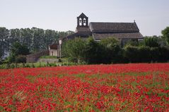 Prieuré de Salagon, hier .......