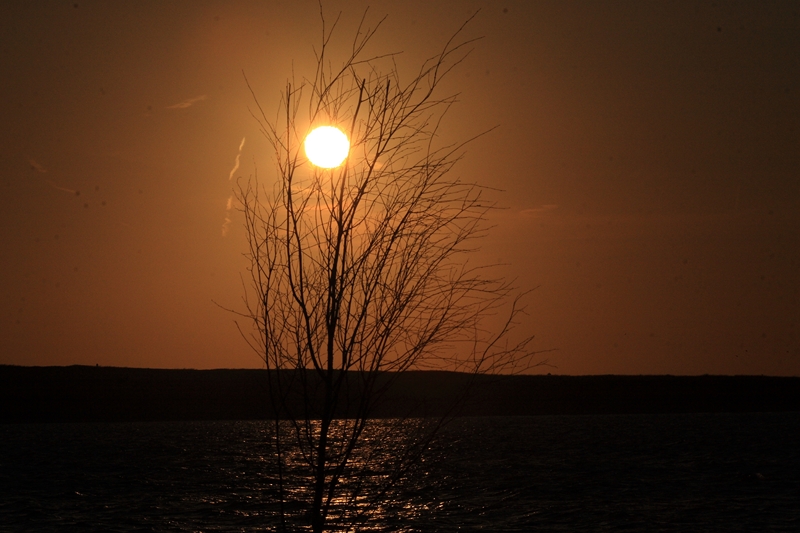 Priggen in der Morgensonne