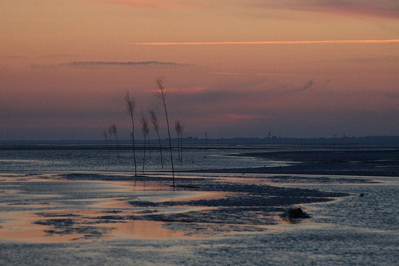 Priggenweg im Sonnenuntergang