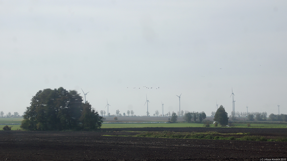 Prignitzer Landschaft