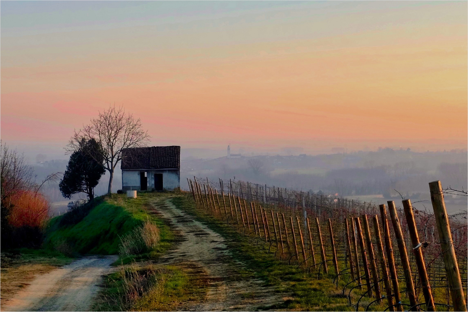 Prima che la luce si spenga. 