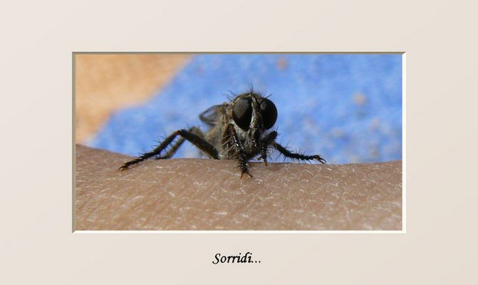 Prima dava le spalle, poi si è girata e...