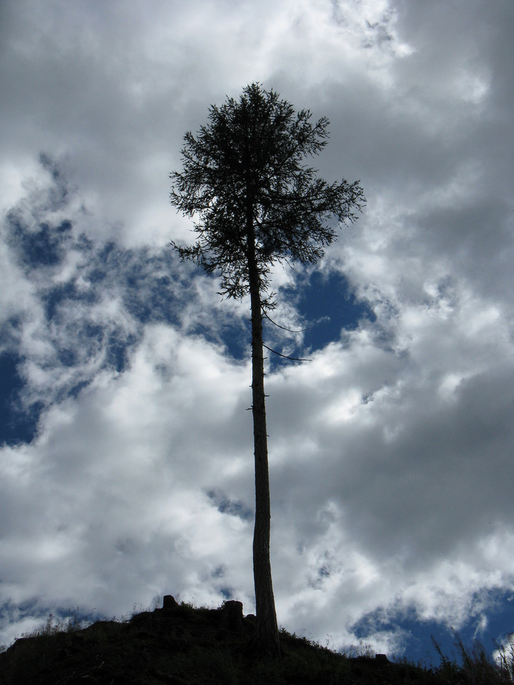 Prima del temporale