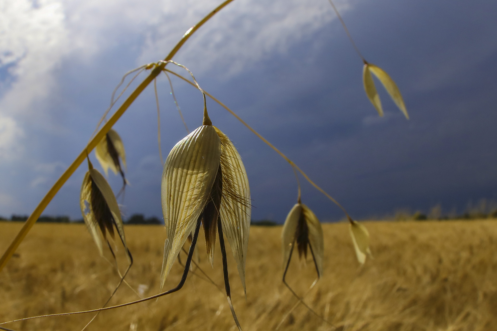 prima del temporale  