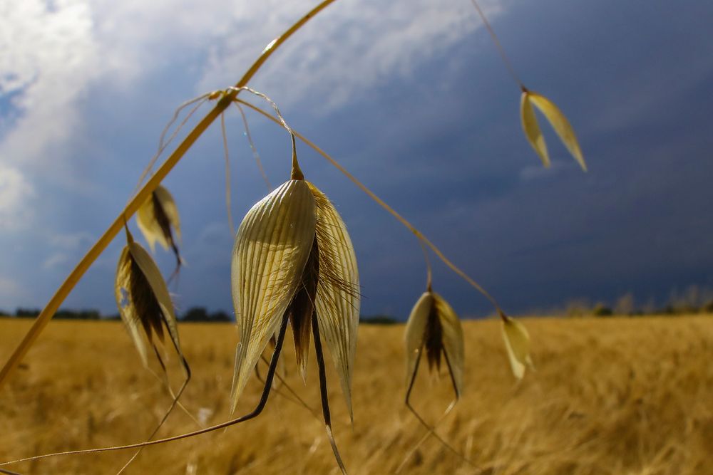 prima del temporale  